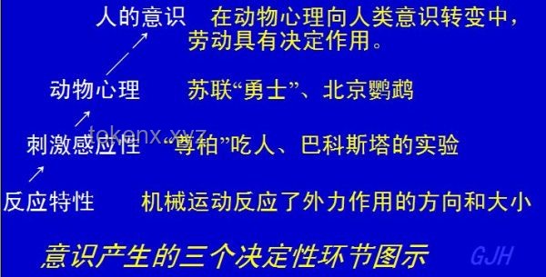 我之为我：探索个体意识与想法的起源与本质